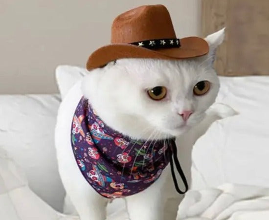 Cowboy / Cowgirl Top Hat